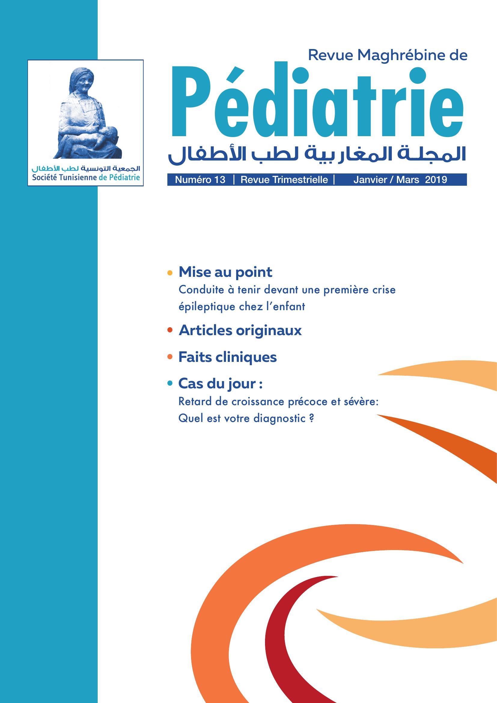 Revue N 13