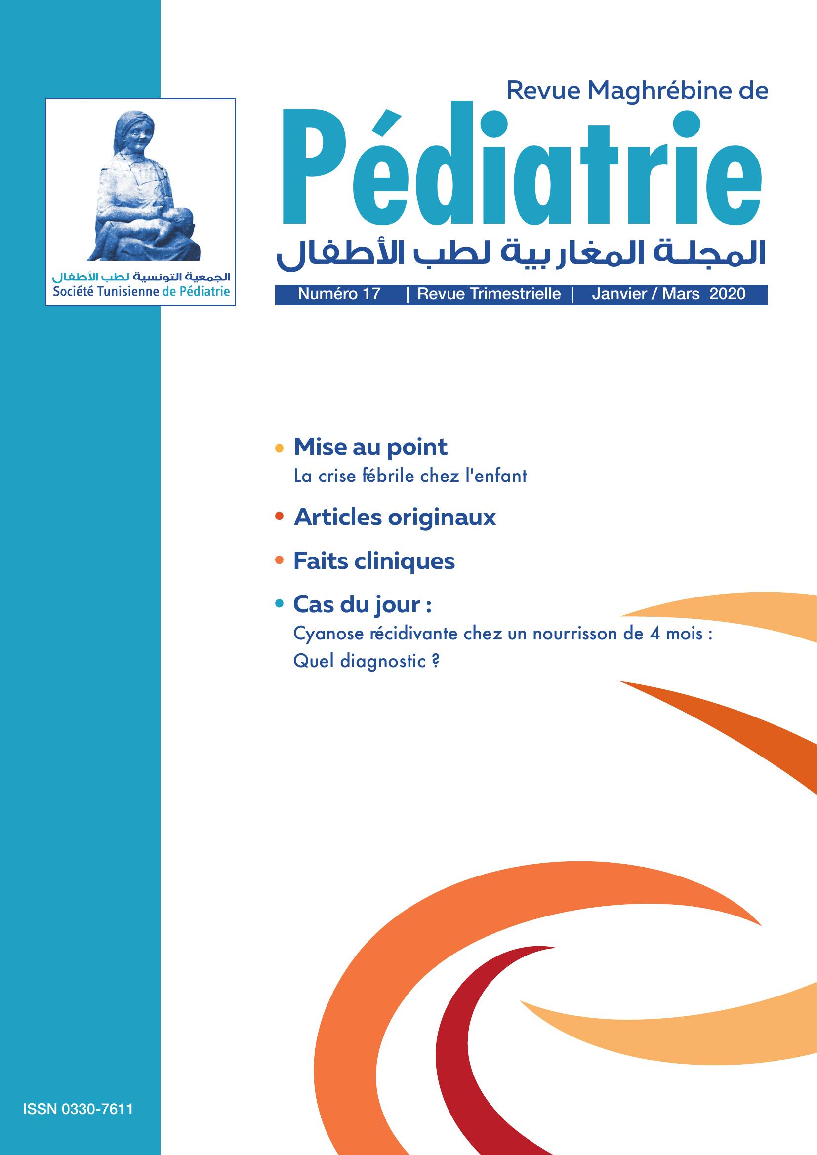 Revue N 17