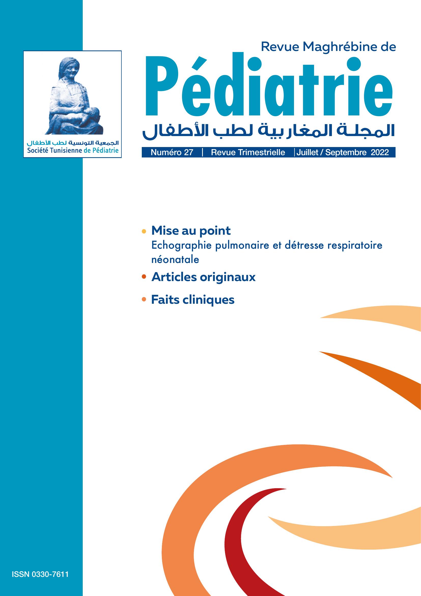 Revue N 27
